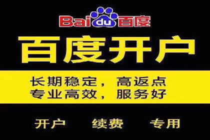 网络推广竞价策略案例分析
